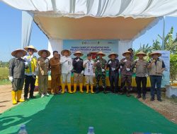 Tembus 8,5 Ton Per Hektare, Dandim 0321/Rohil Siap Dukung Penuh Program Demplot Padi Program Digital Farming