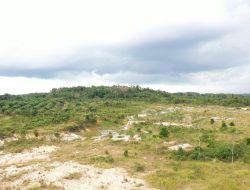 Upaya Jalankan Reforma Agraria yang Pro Rakyat, Menteri Nusron: Kami Belum Teken Satu pun Perpanjangan HGU